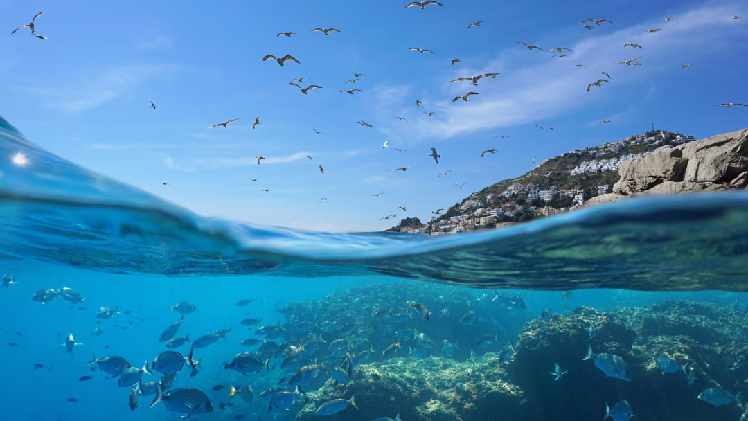 Laguna con acqua cristallina e cielo azzurro