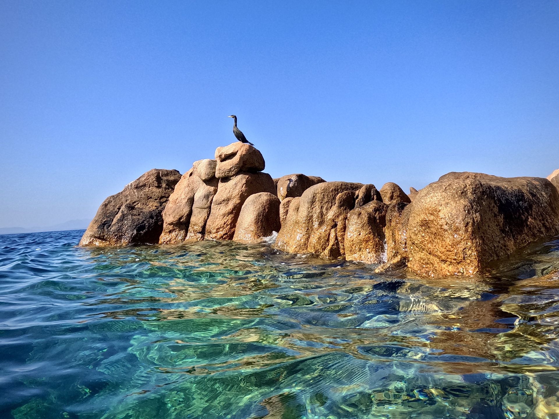 Cormorano appoggiato su roccia circondato da mare cristallino